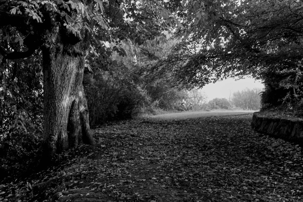DSC_0579 DSC_0579